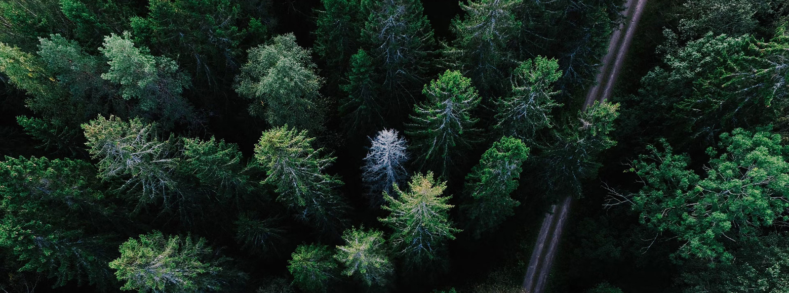 Teicneolaíocht Teicstíle Jiangsu Xiangyi (Grúpa) Co, Teo.